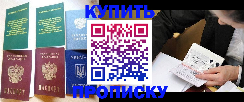 прописка для школы в Невеле